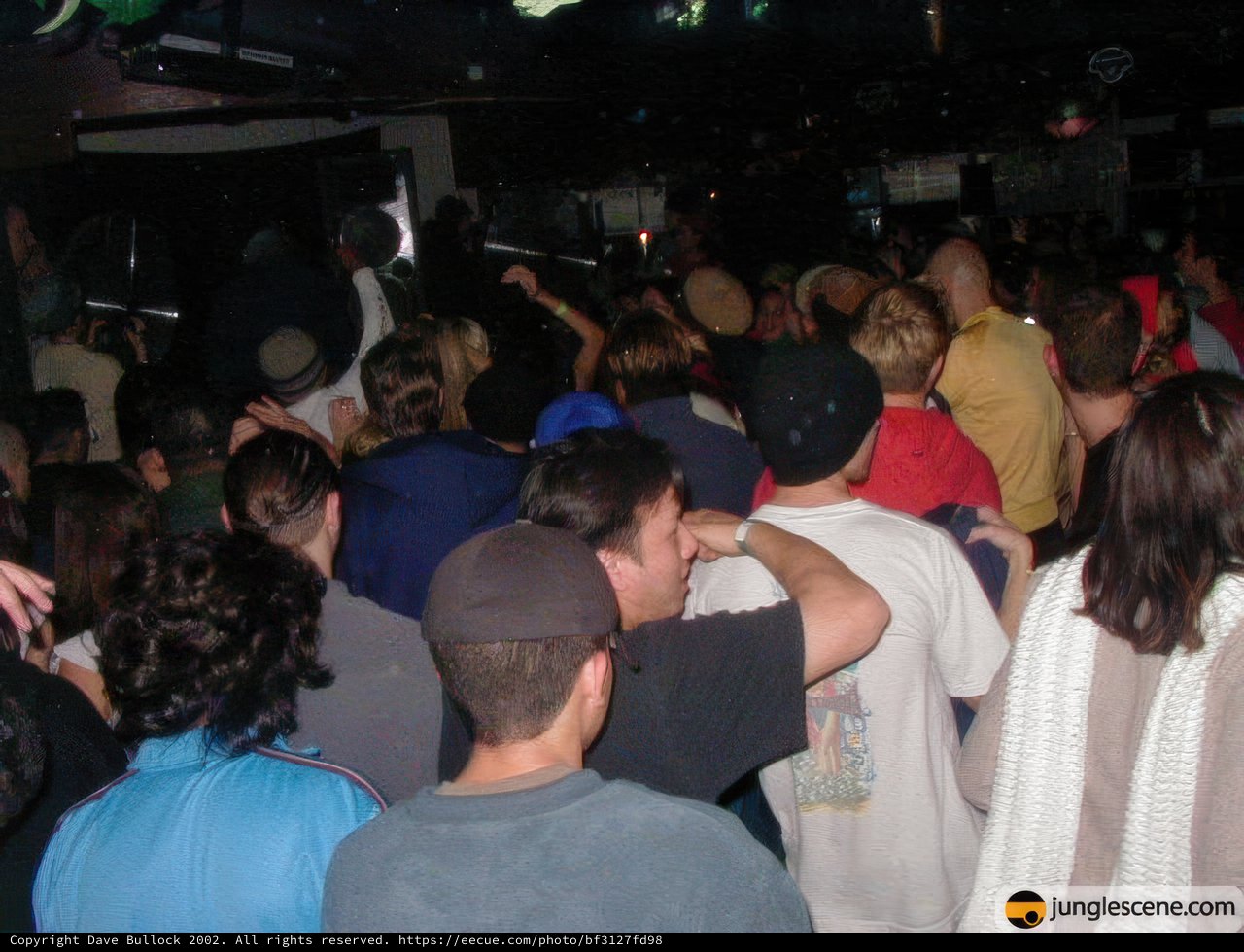 Nightclub Performance Ignites the Party