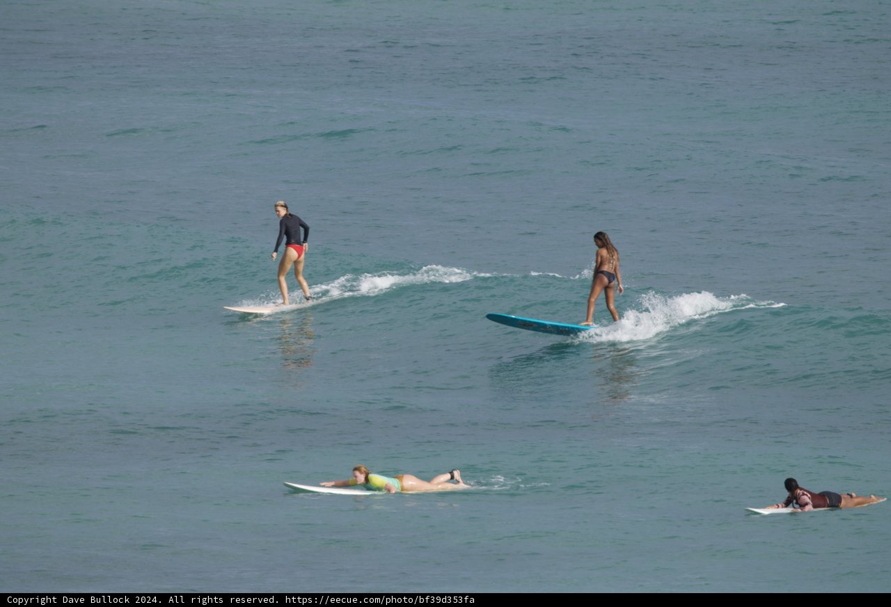 Surf's Up! A Day of Waves and Wipeouts in Hawaii