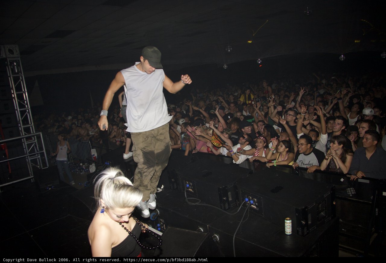 Skateboarding Performance at Nightclub Concert