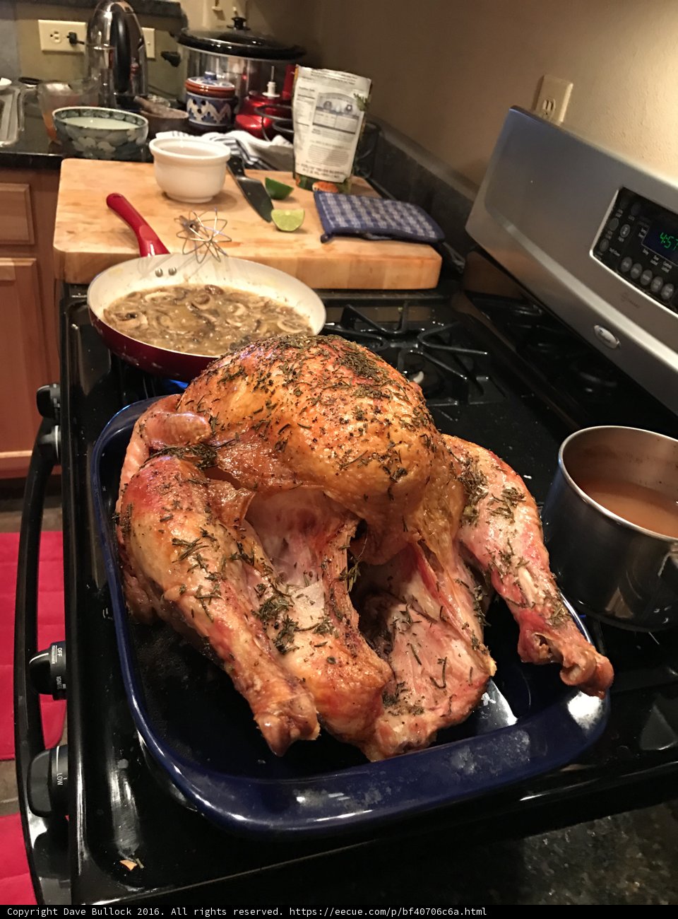 Thanksgiving Turkey Feast