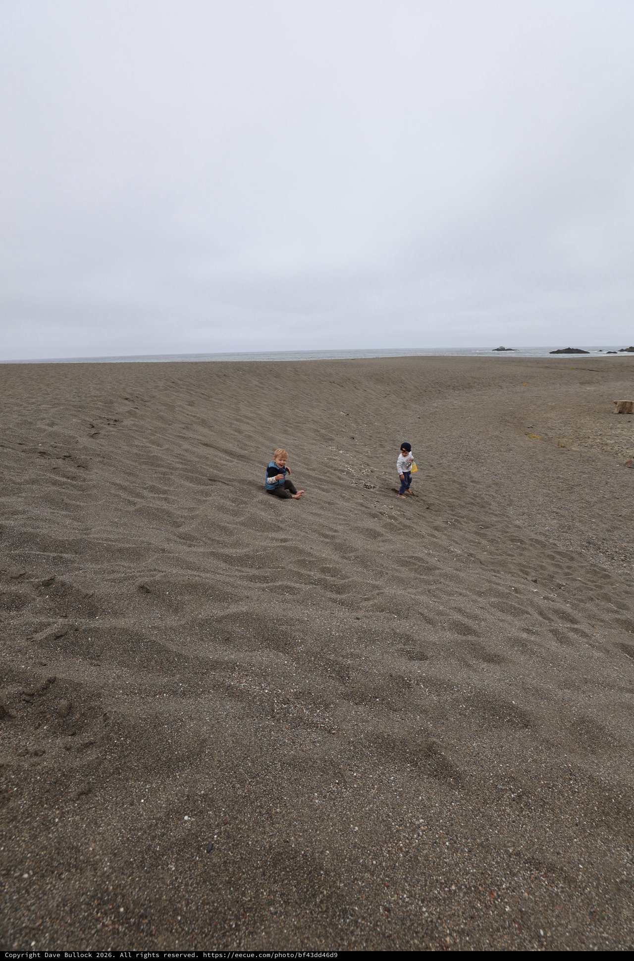 Two Children Playing on a Vast Gray Beach