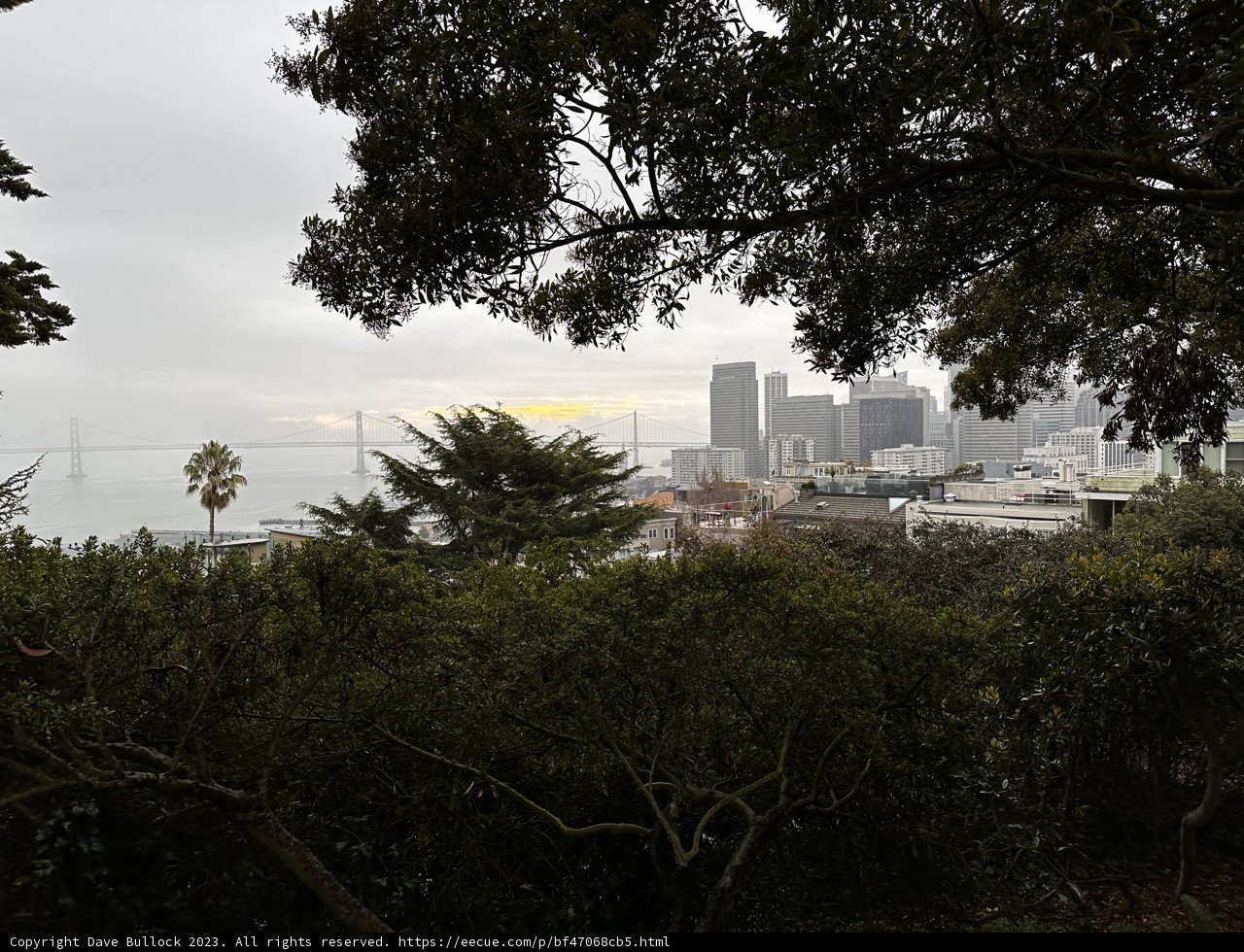 Urban Scenery from Hillside