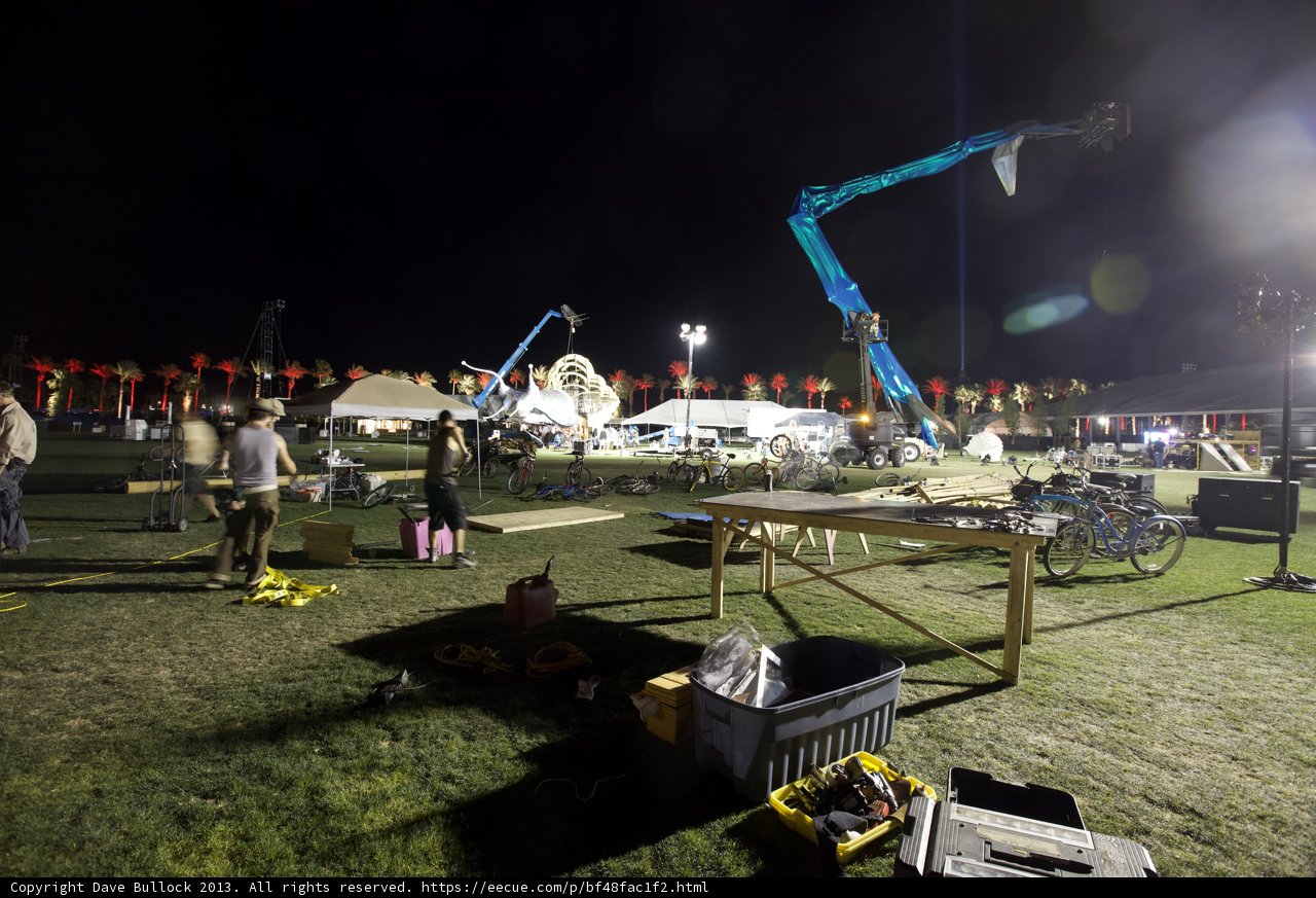 Nighttime Gathering