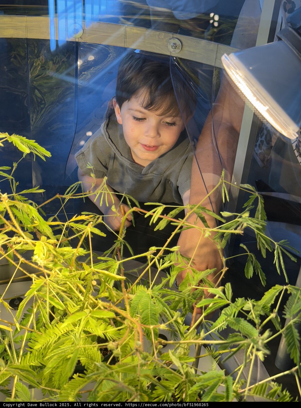 Curious Hearts and Growing Green