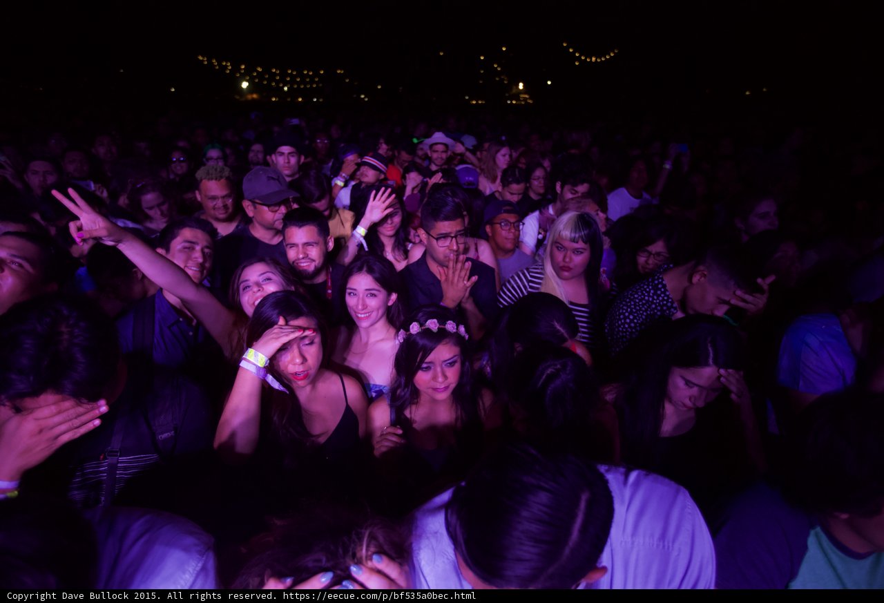 Crowd Enjoying the Music