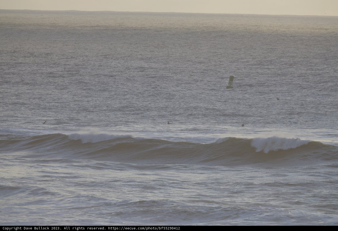 Surf 'N' Symphony