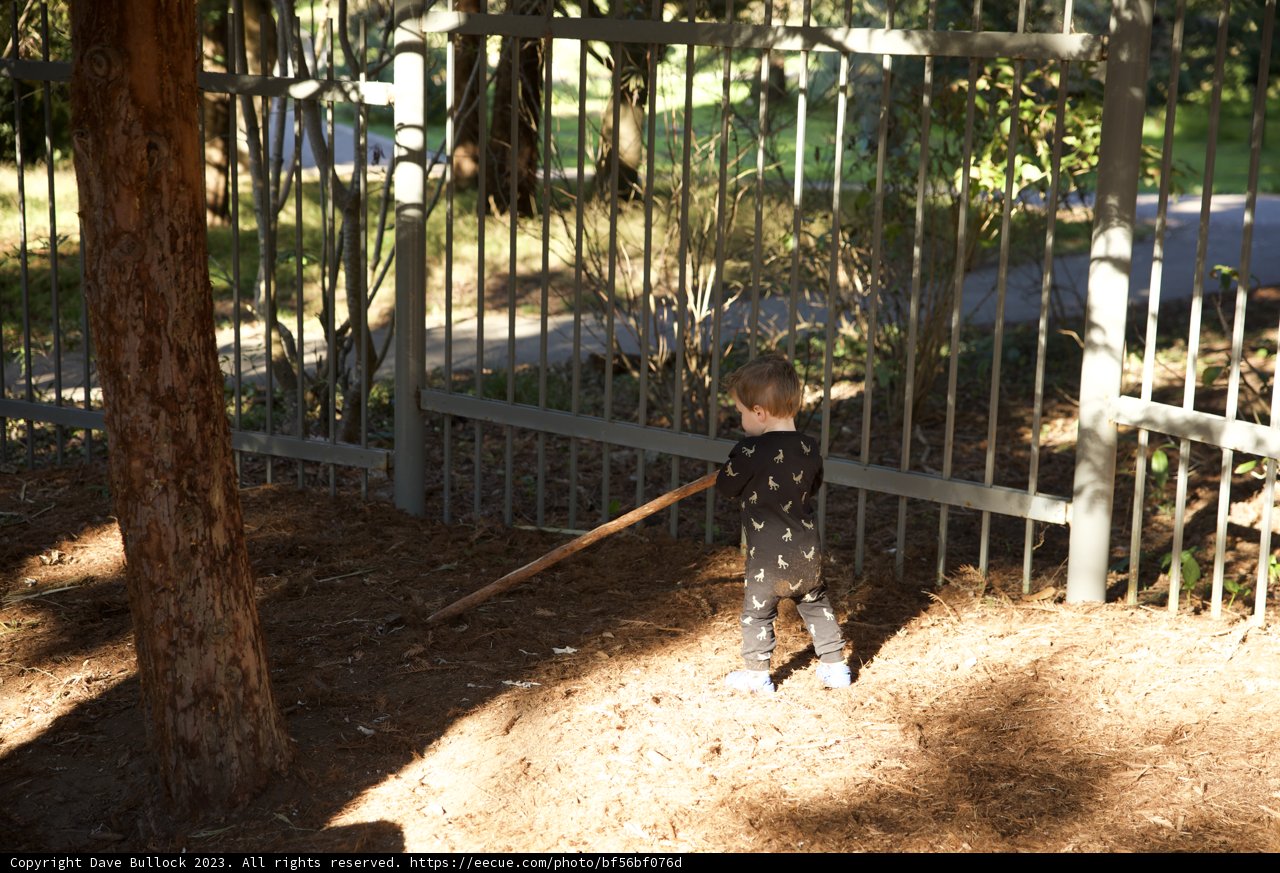 The Explorer in Nature