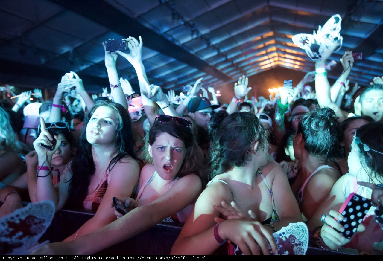 Coachella Crowd Goes Wild