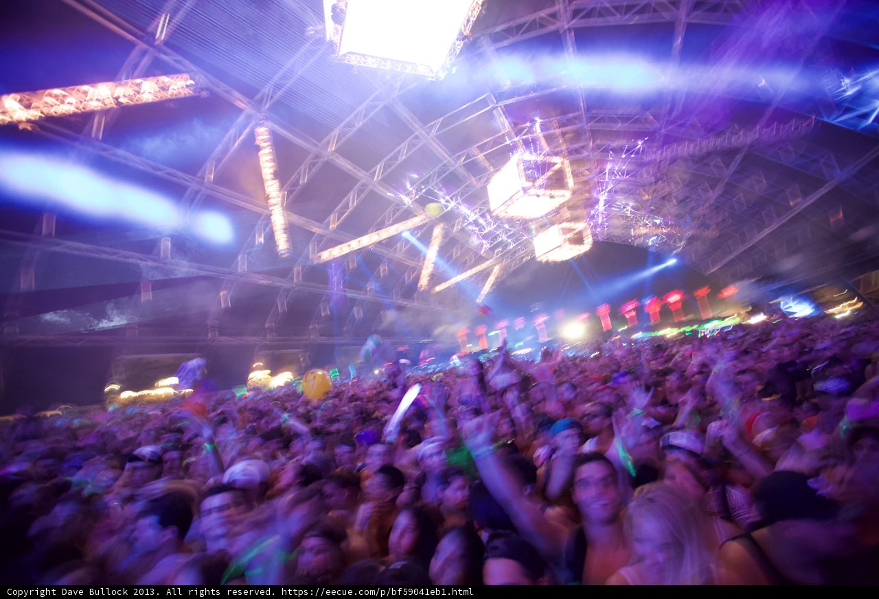 Coachella Nights