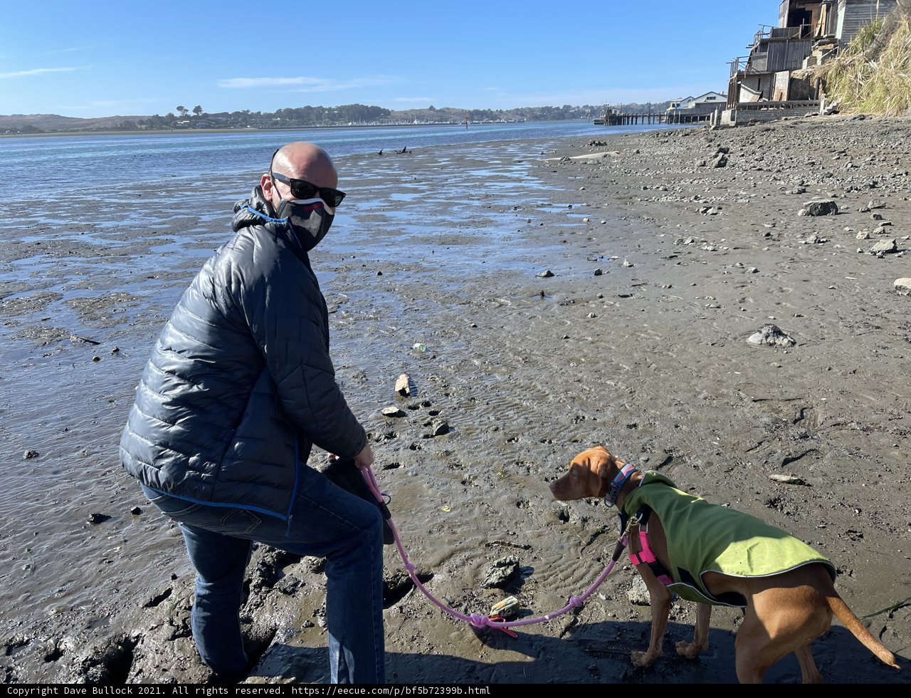 Masked Man and Canine Companion at Bodega Bay