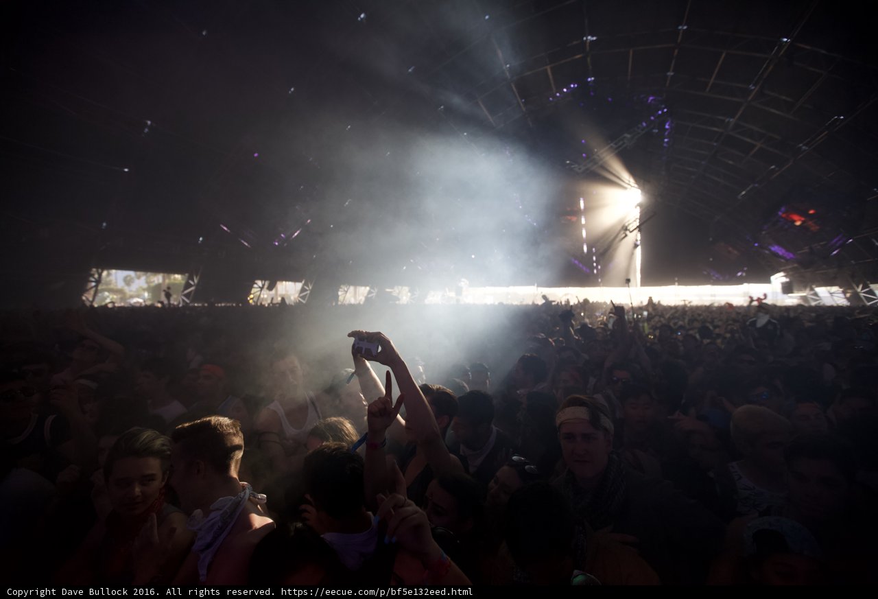 Lights, Crowd, Action