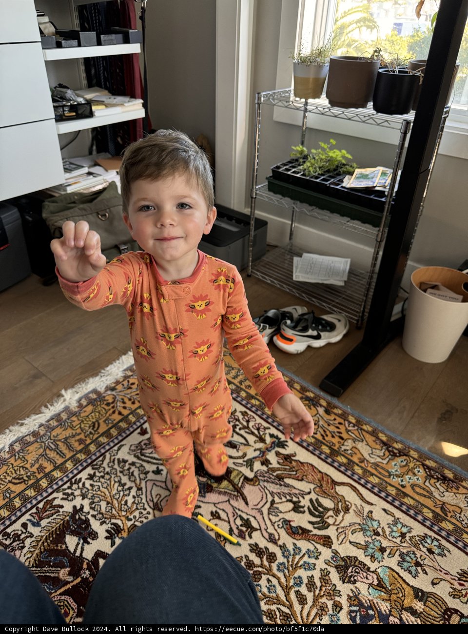Little Explorer at Home
