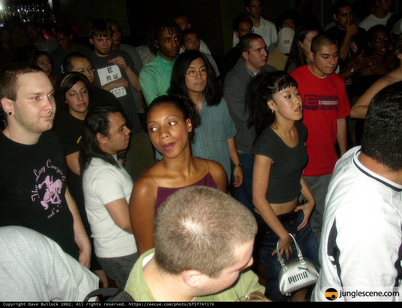 Nightclub Crowd