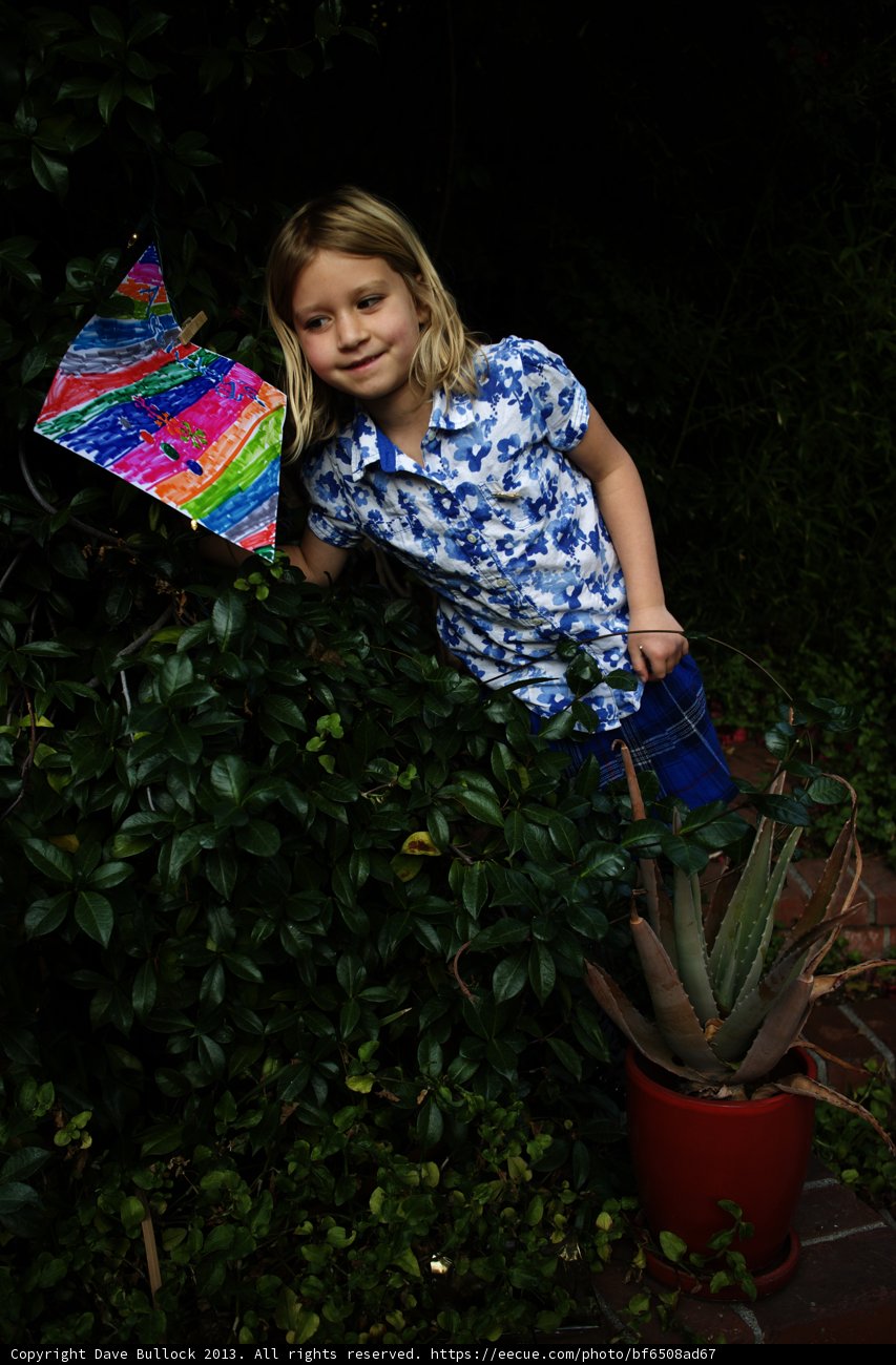 Kite-flying fun in the garden