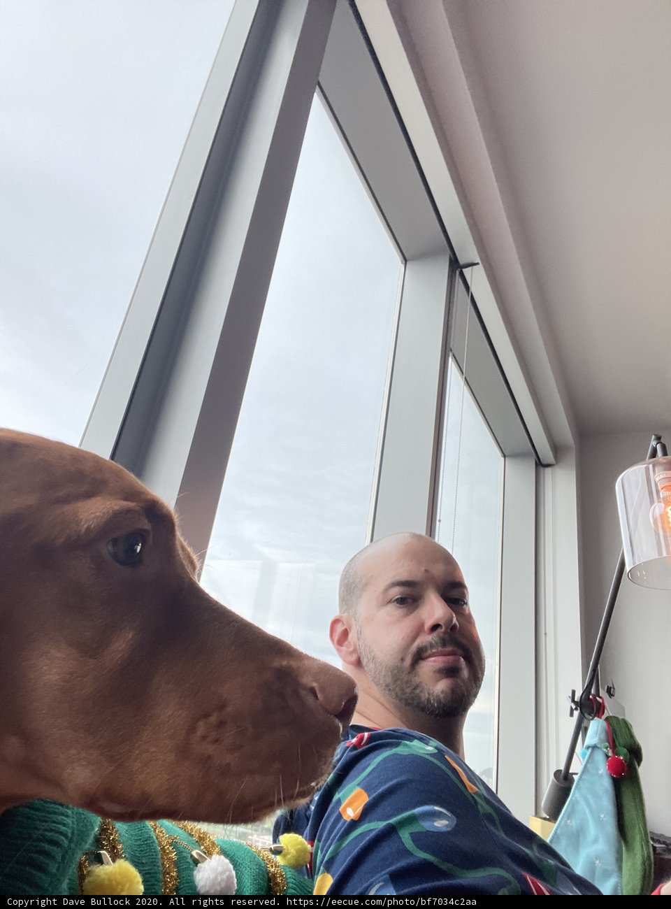 Man's Best Friend