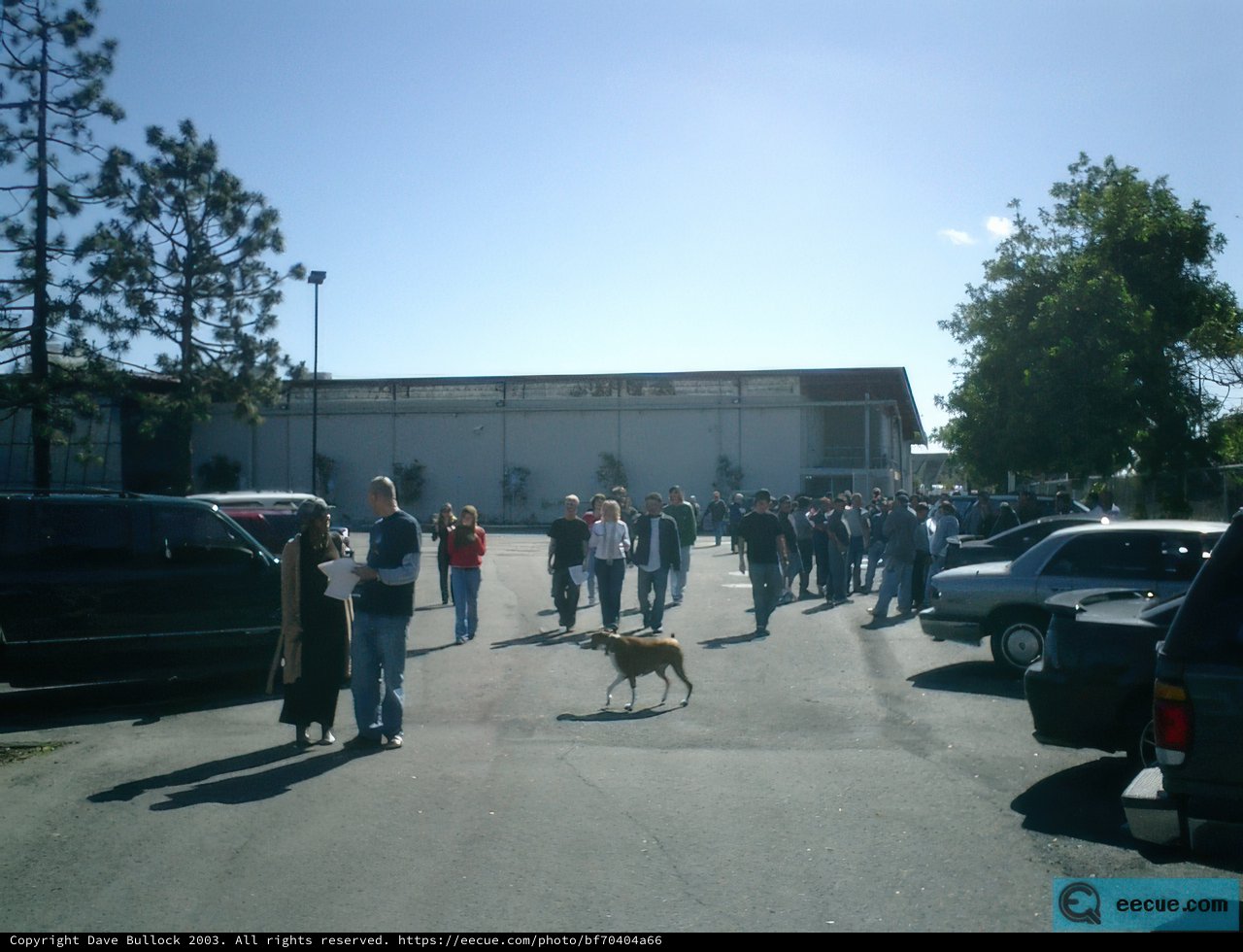 Walking the Dog in the Parking Lot