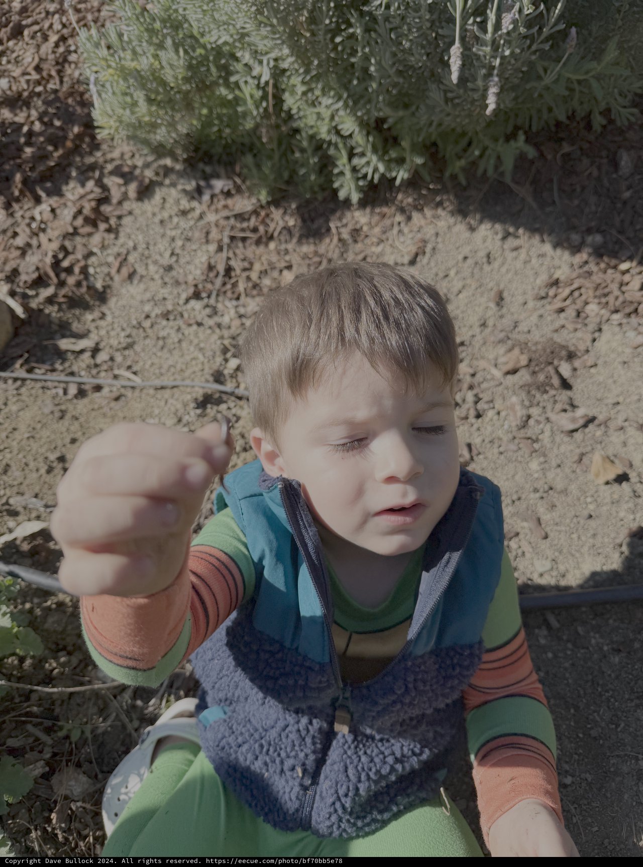 Young Child Playing Outdoors in Garden Setting