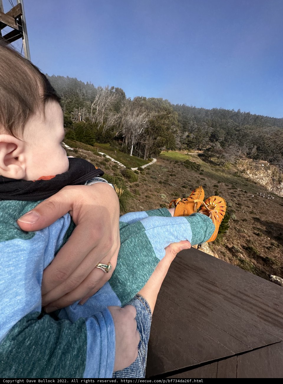 Serene Moment on a Bench with Baby