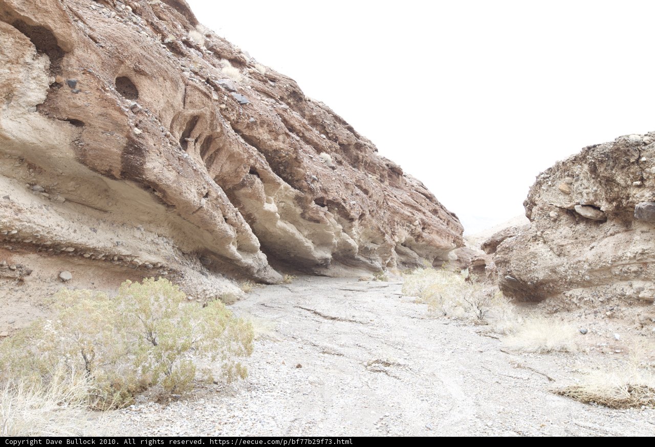 Path Through the Desert