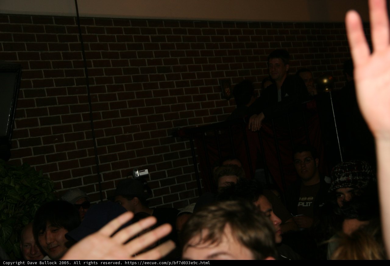 Partygoers Raise the Roof