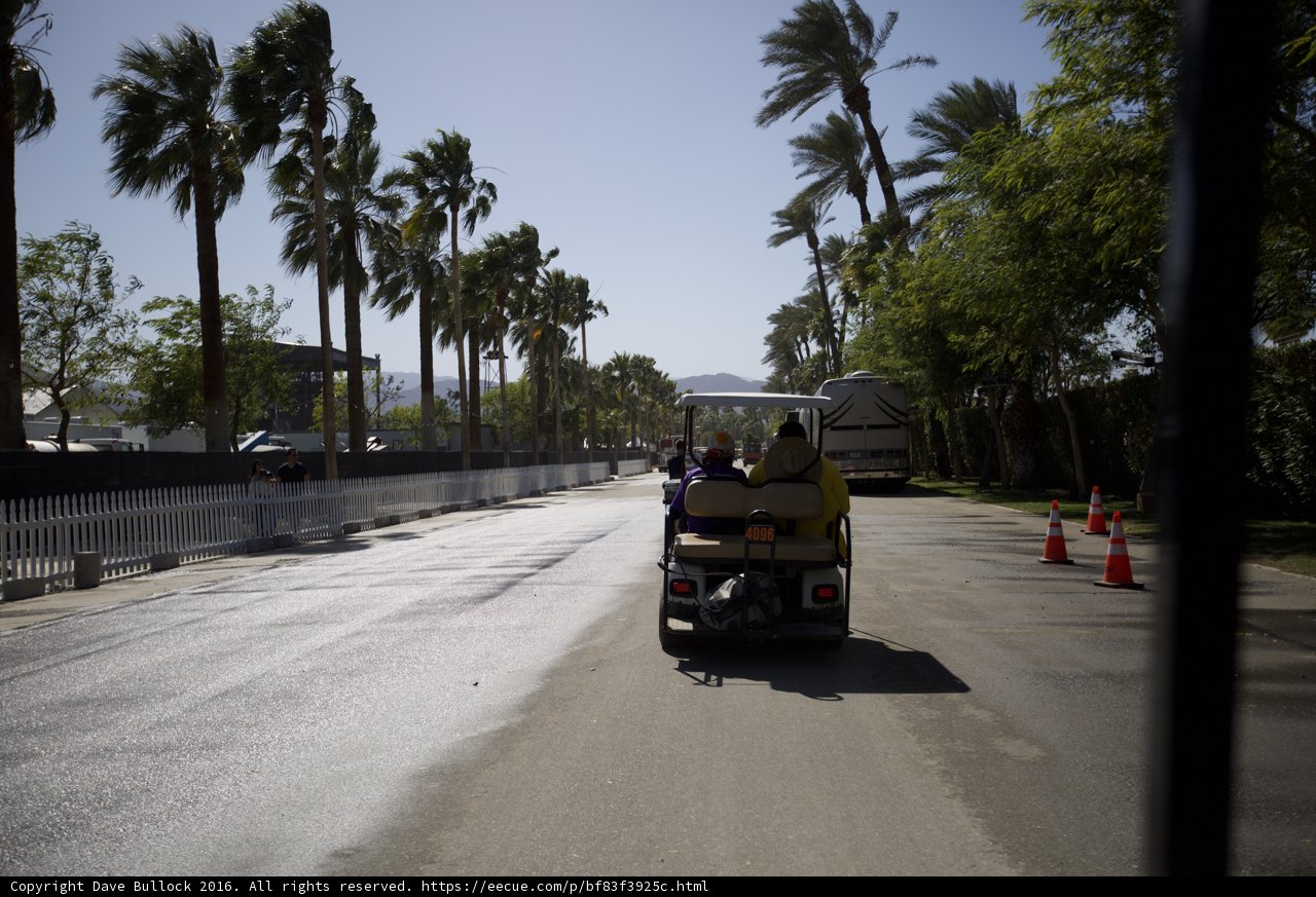 Cruising Along the Palm Tree-Lined Road