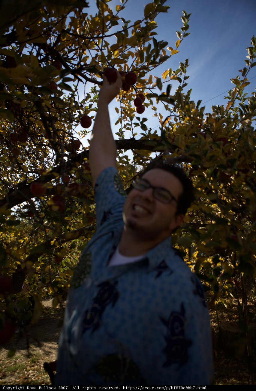 Harvesting the Fruits of the Farm