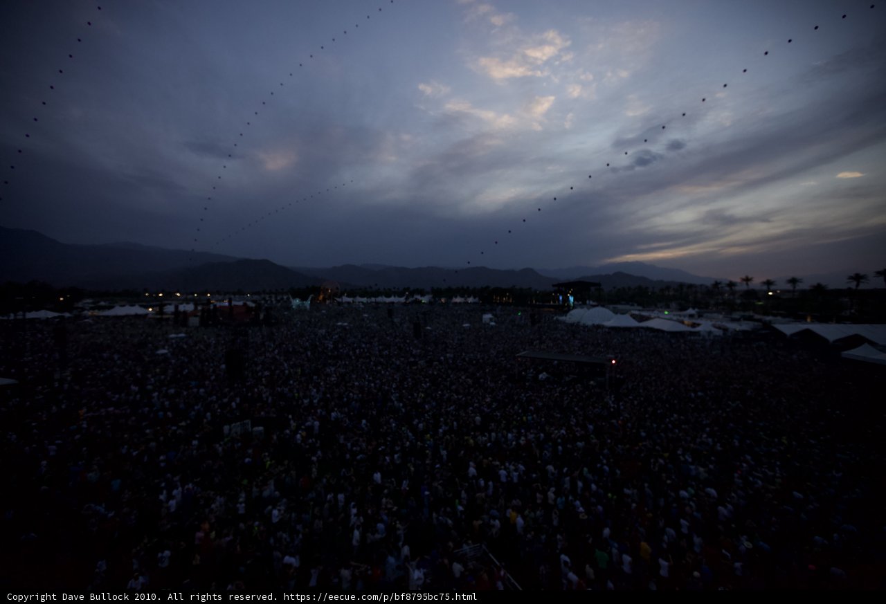 Concert Crowd under the Night Sky