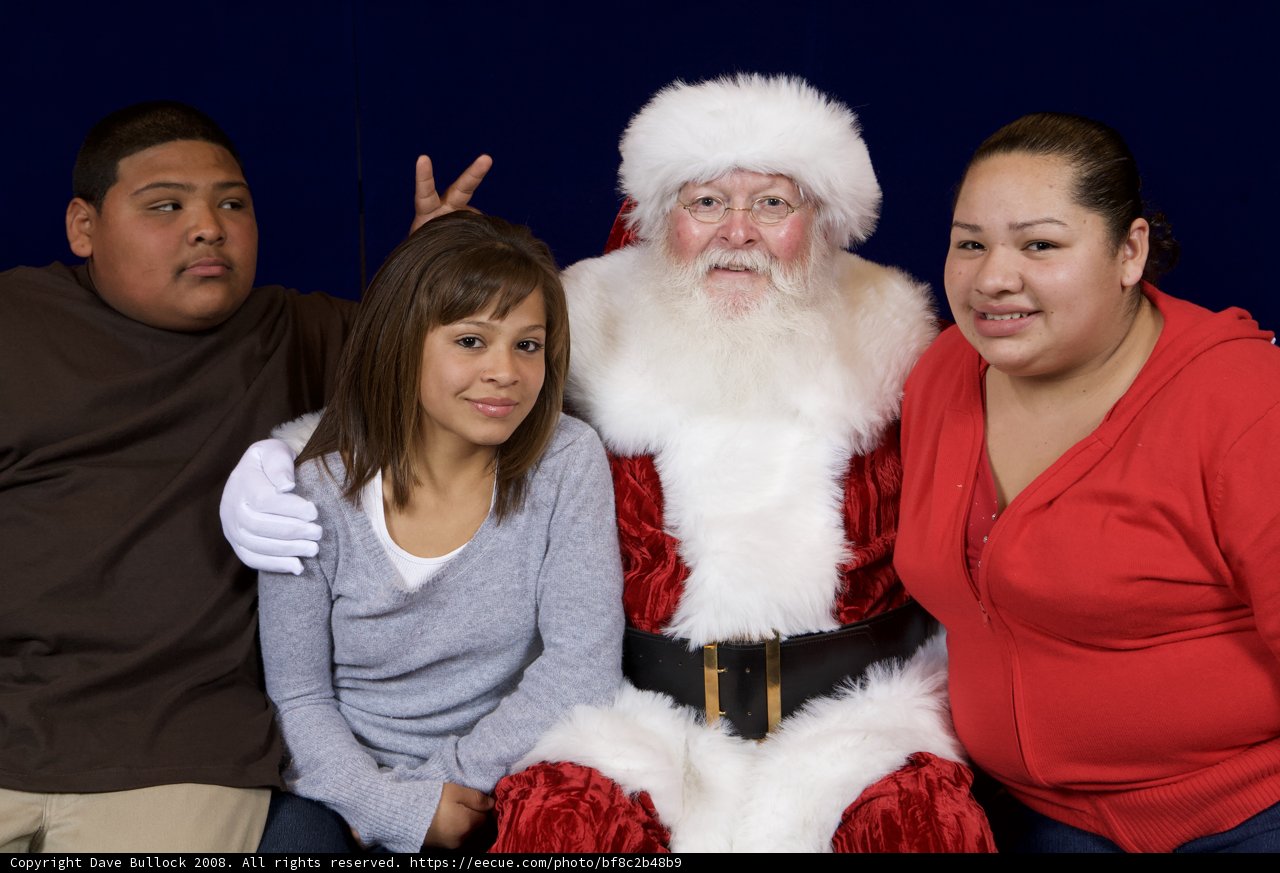 Santa's Festive Pose