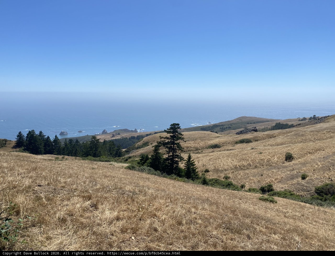 A Spectacular View of the Ocean from a Hillside