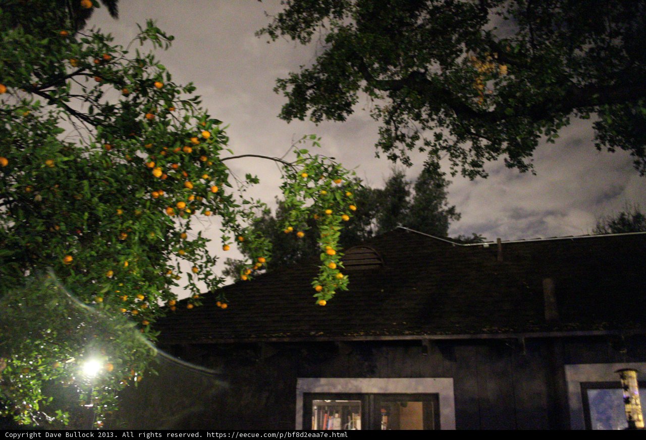 Oranges on a Cloudy Day
