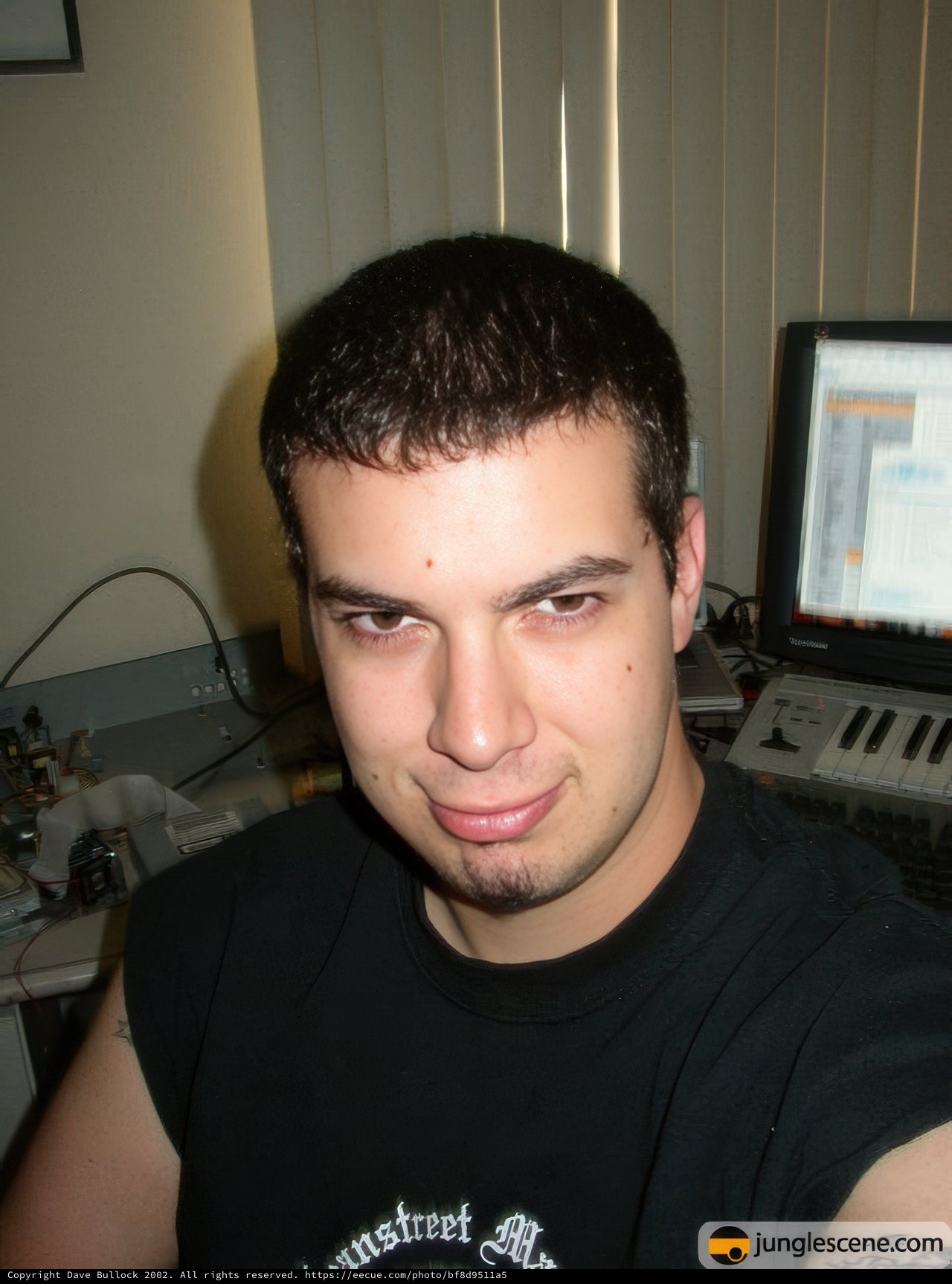 Portrait of a Man Engaged with His Computer