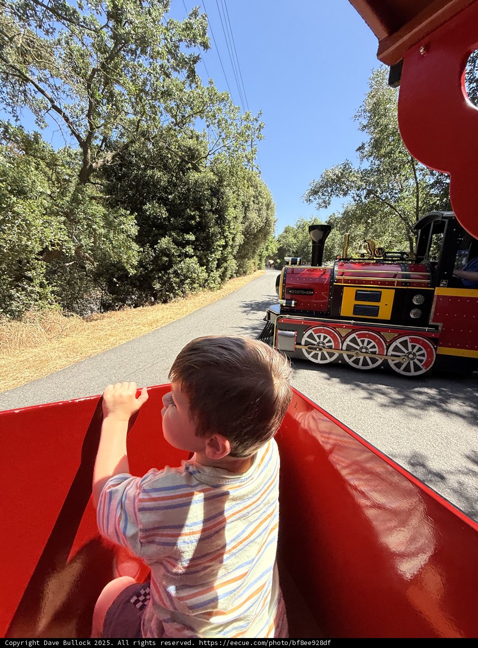 Joyful Ride Through Nature