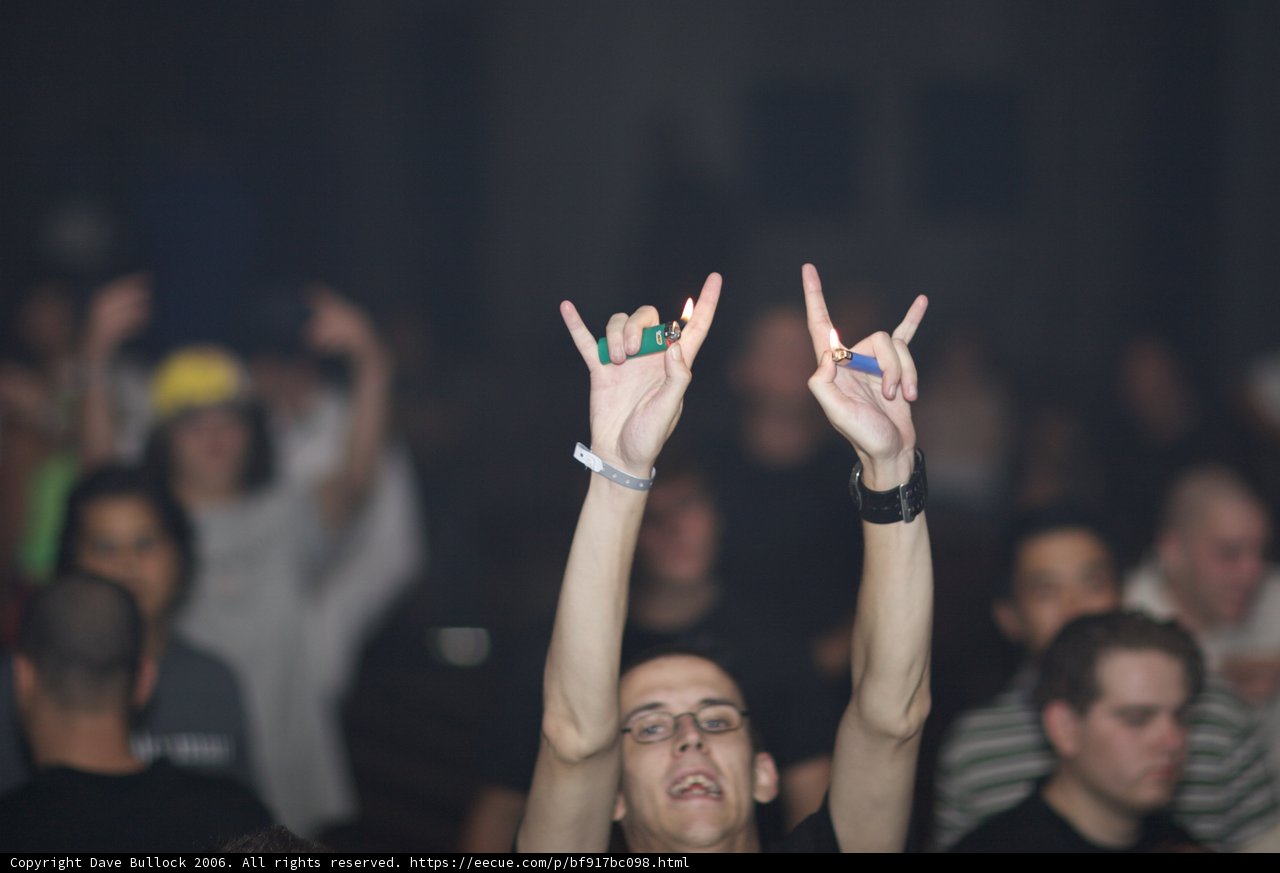 Hands Up in the Crowd