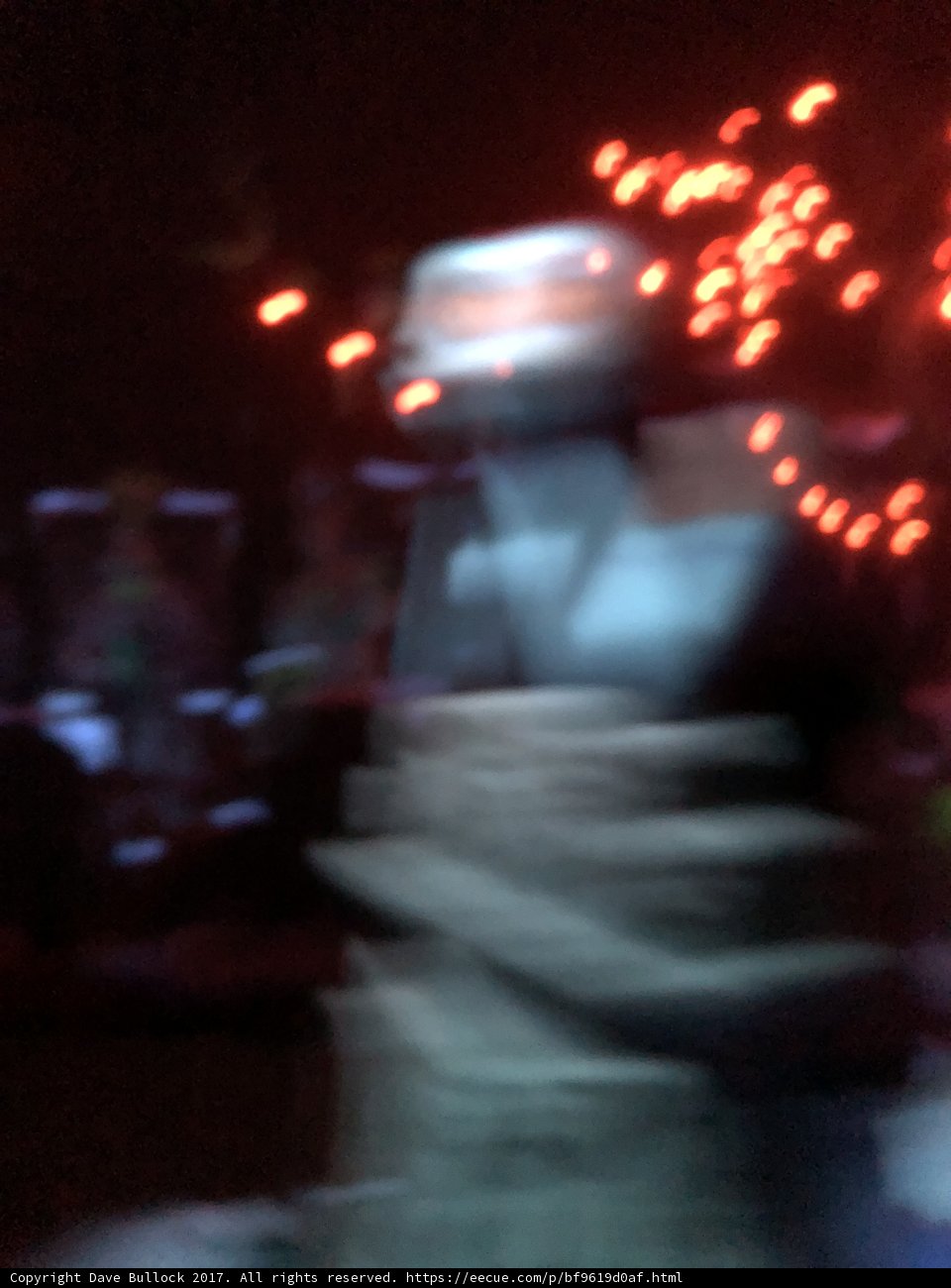 Blurred Nightlife in Disneyland