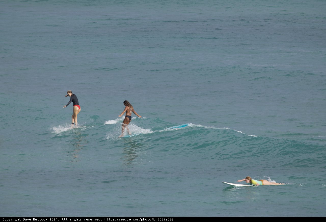 Catching Waves in Harmony