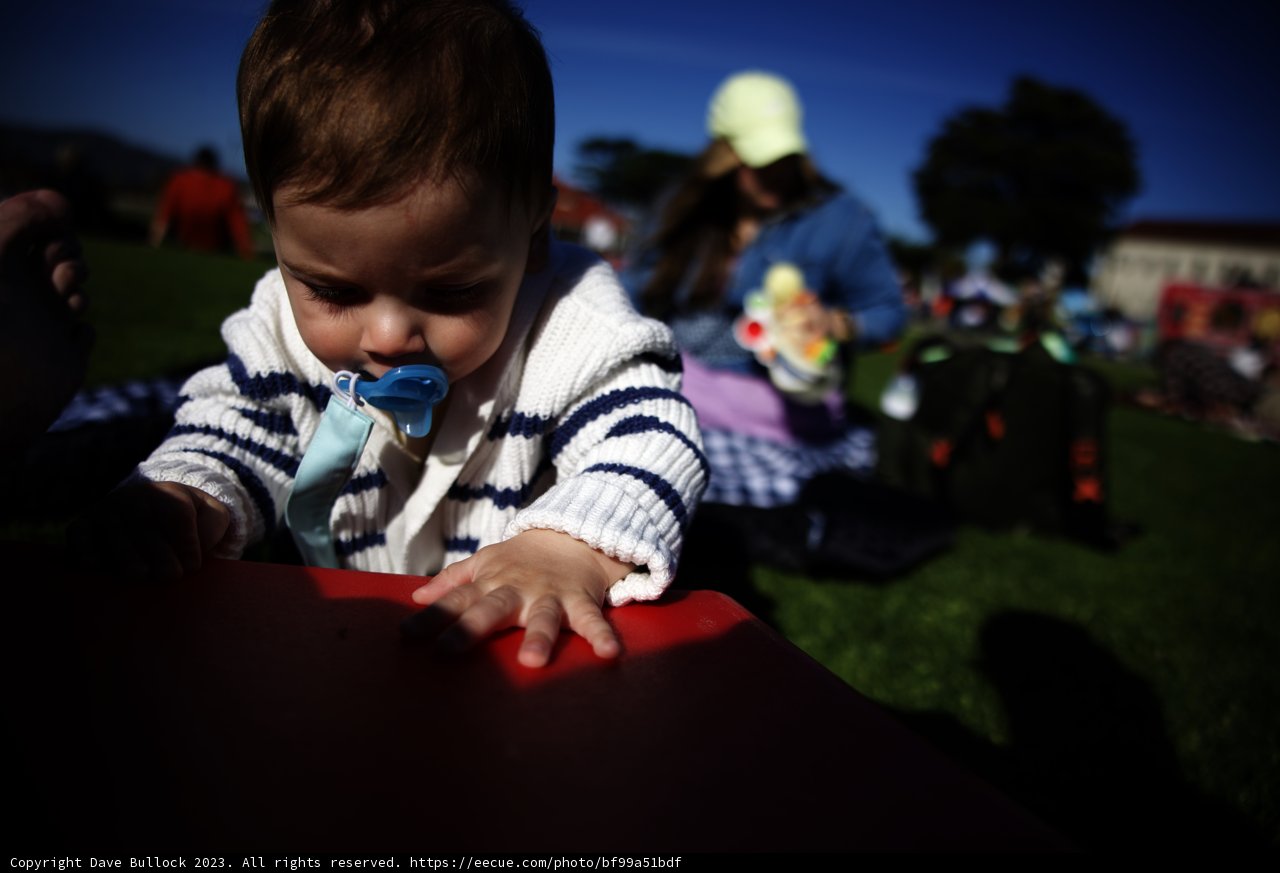 A Picture-Perfect Picnic Day
