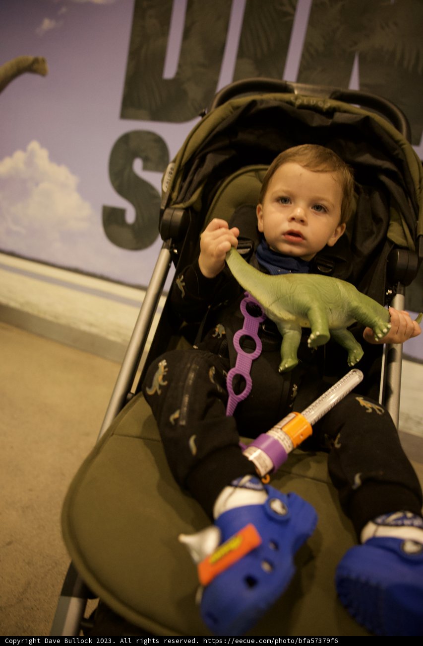 Wesley's Dino-Adventure at Golden Gate Park, 2023