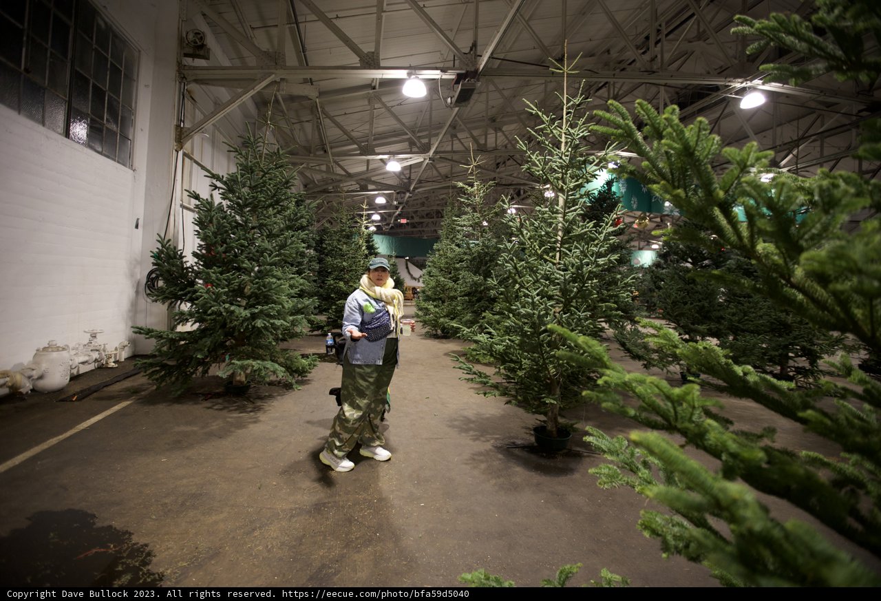 A Festive Walk Through The Christmas Warehouse