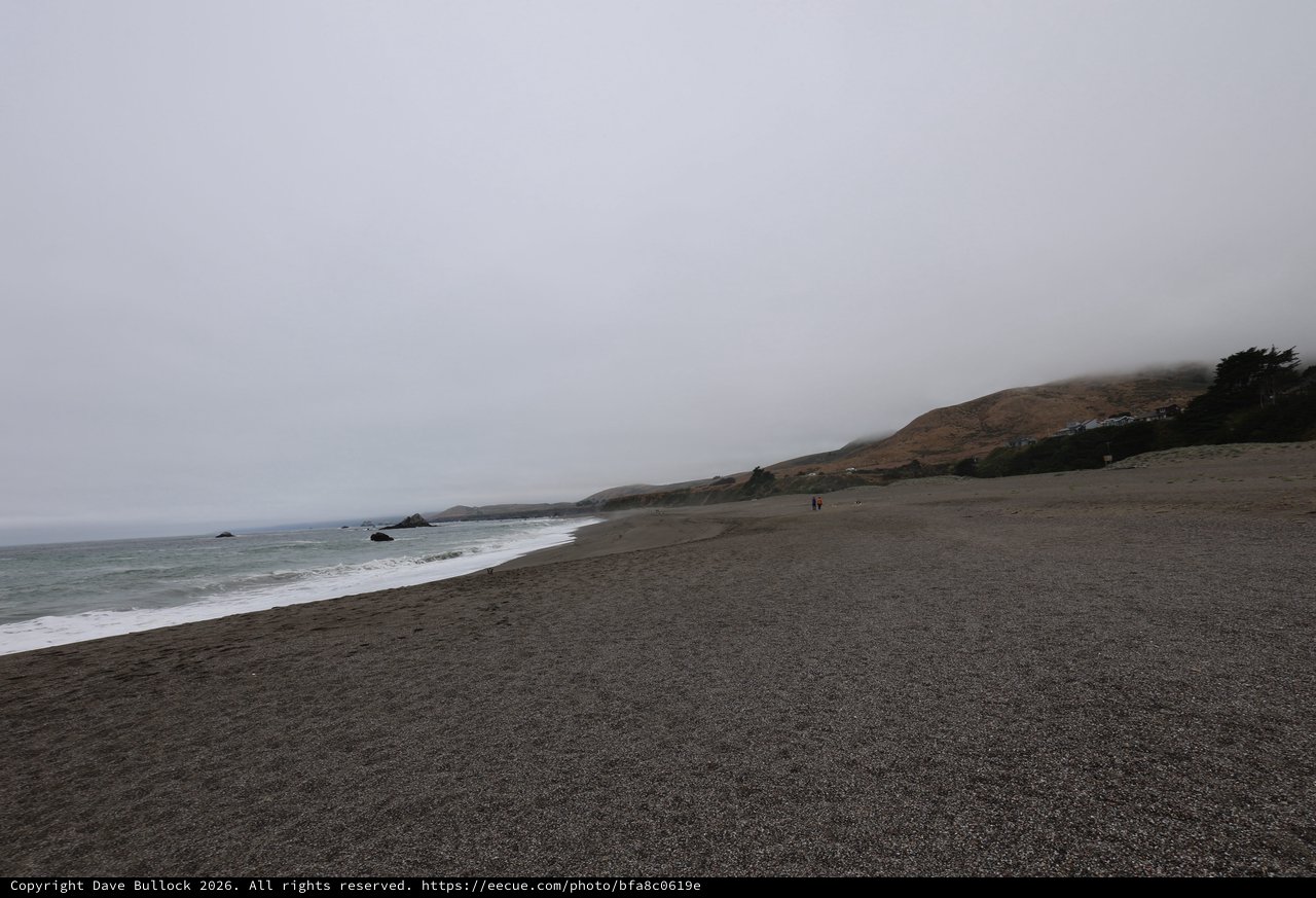 Foggy Coastal Beach on a Gray Summer Day