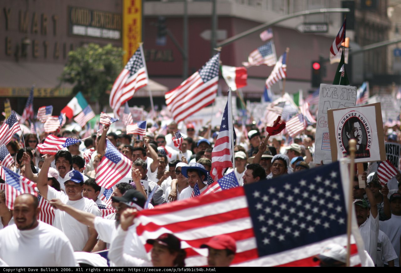 Patriotic Protesters