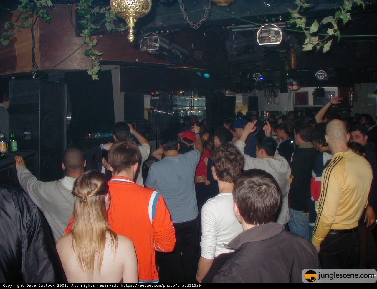 Nightclub Fun