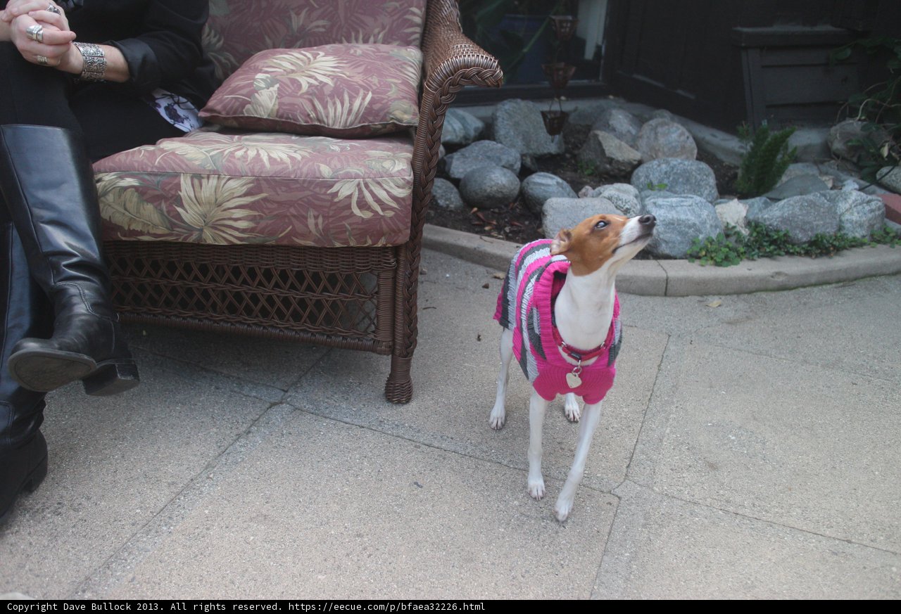 Pretty in Pink