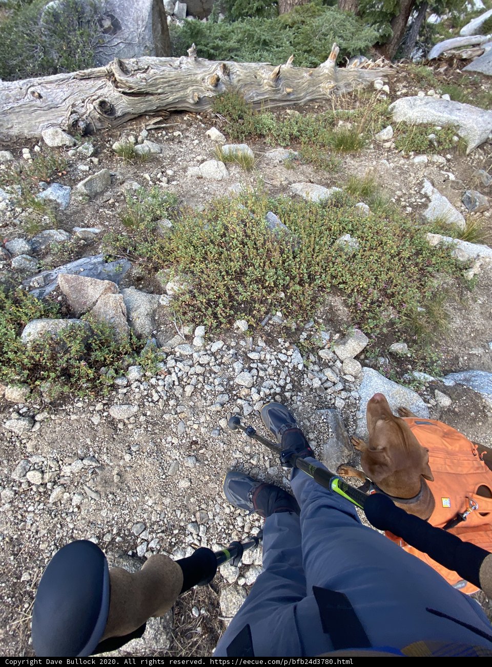 Rock-Sitting in Desolation Wilderness