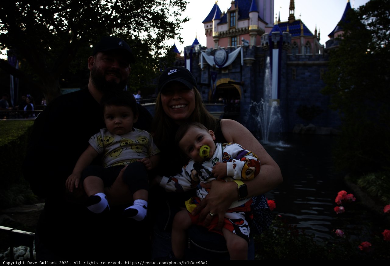 Magical Family Adventure at Disneyland