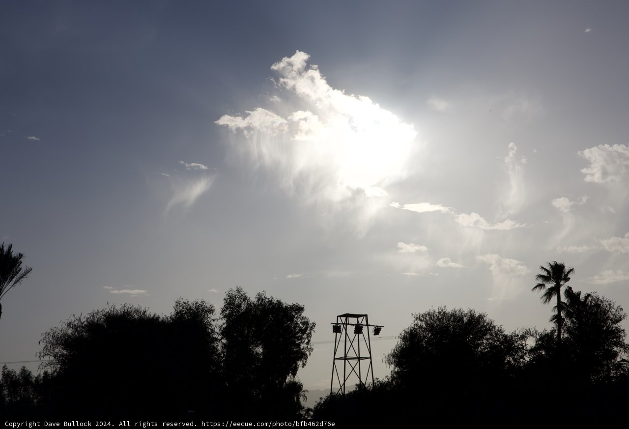 Silhouettes and Sunrays: An Afternoon in Coachella