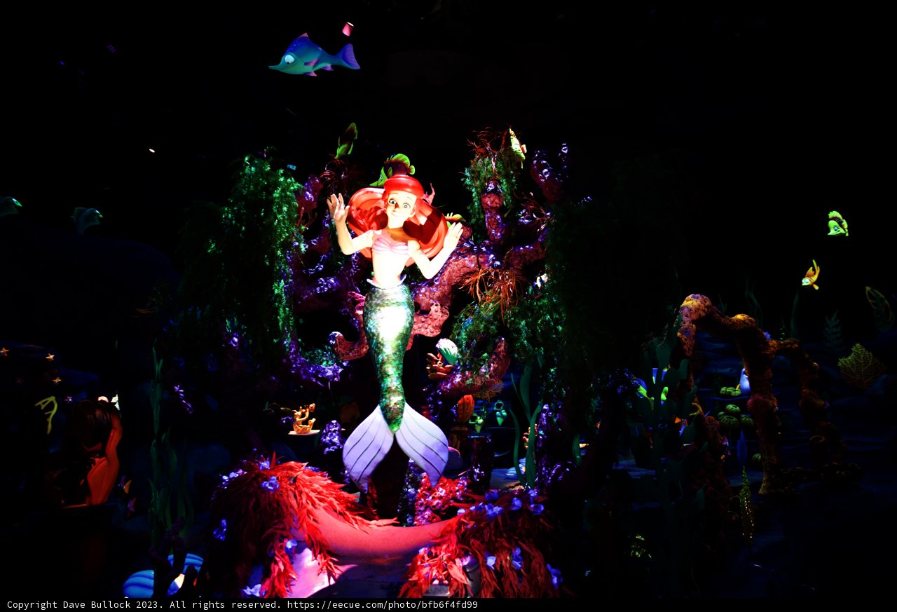 Magical Moments at Disneyland 2023