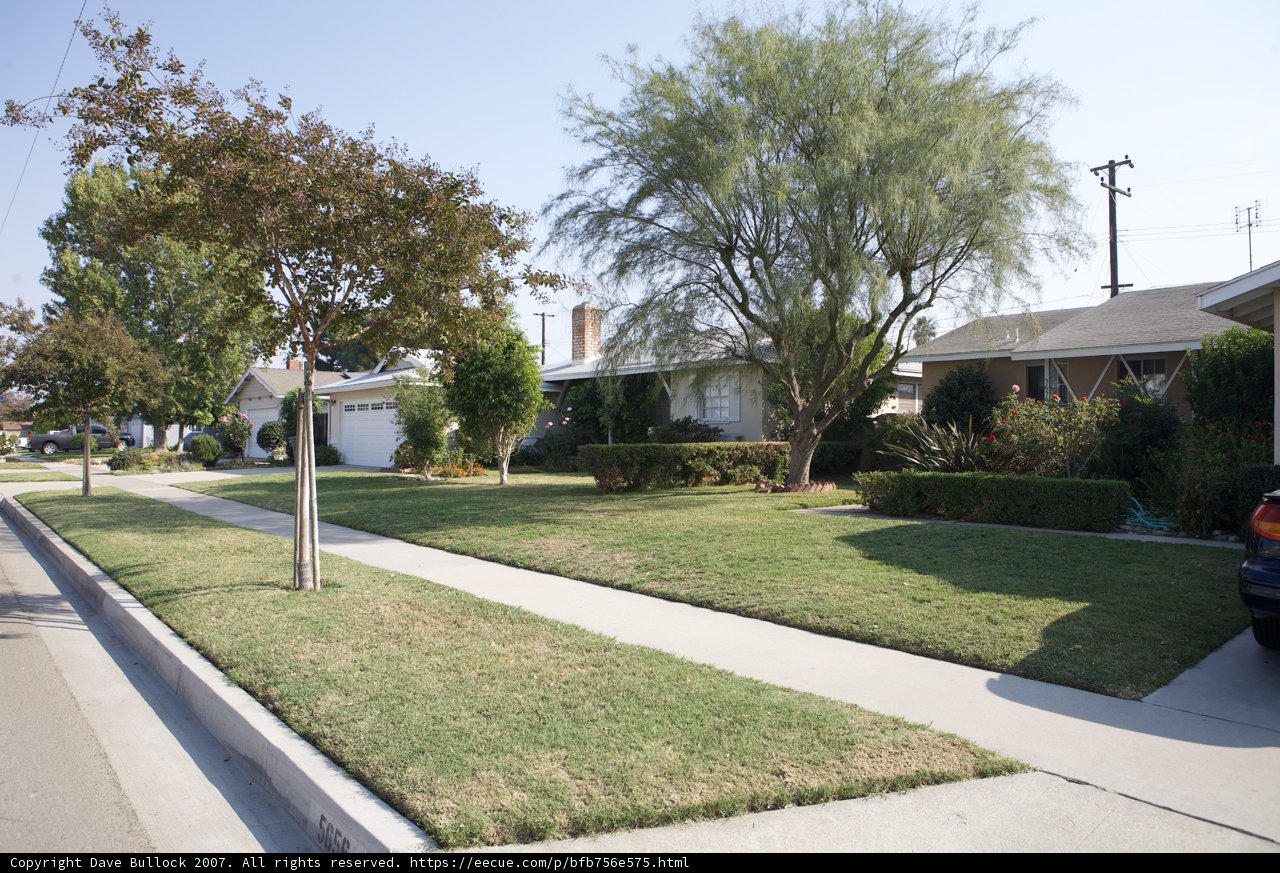 A Sunny Day in Suburbia