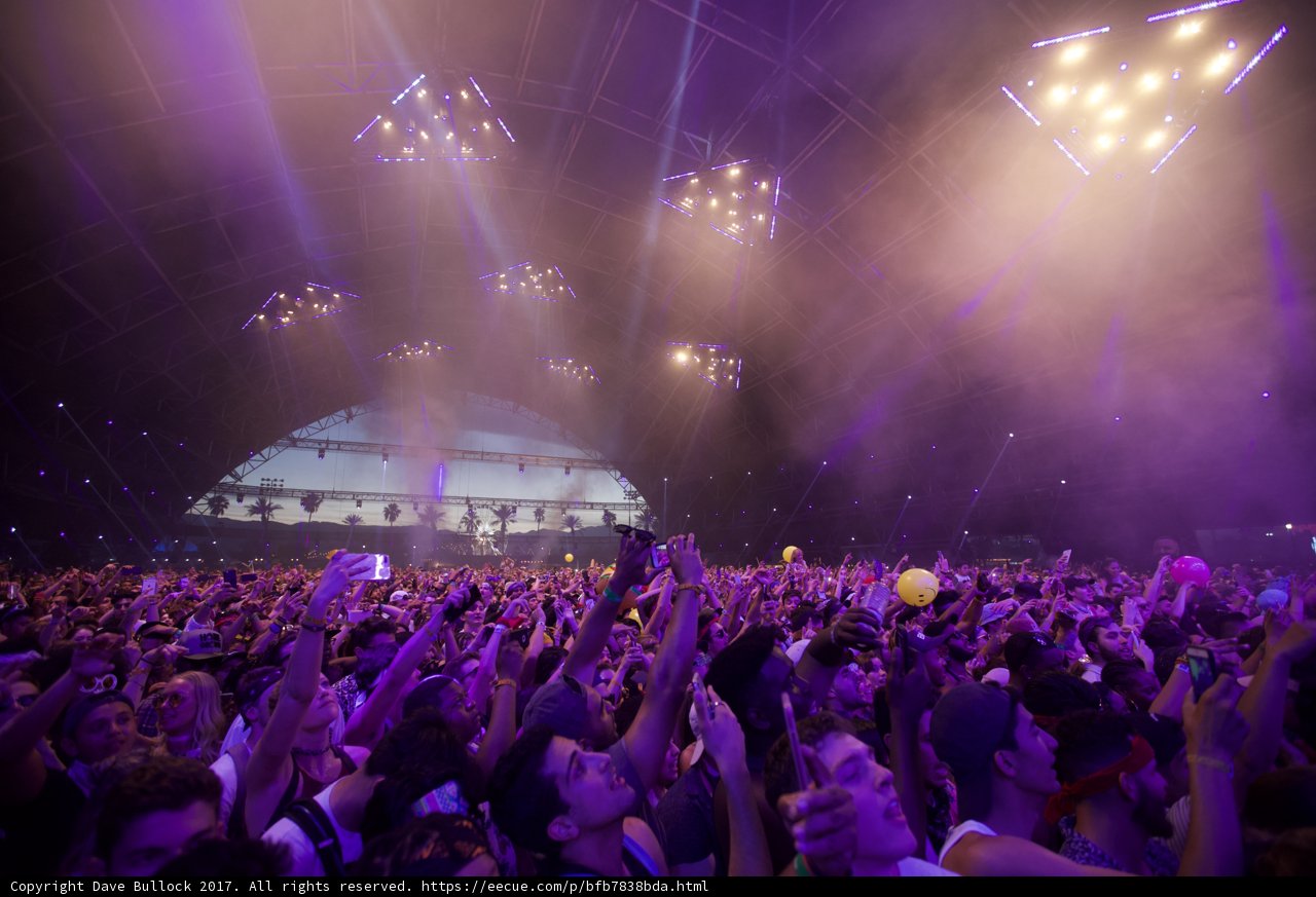 Purple Haze: A Night of Music and Lights