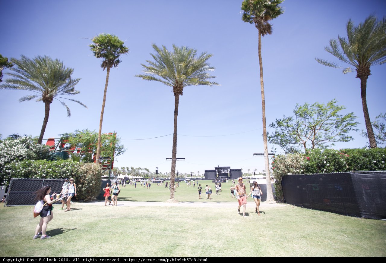 Summer fun at Coachella