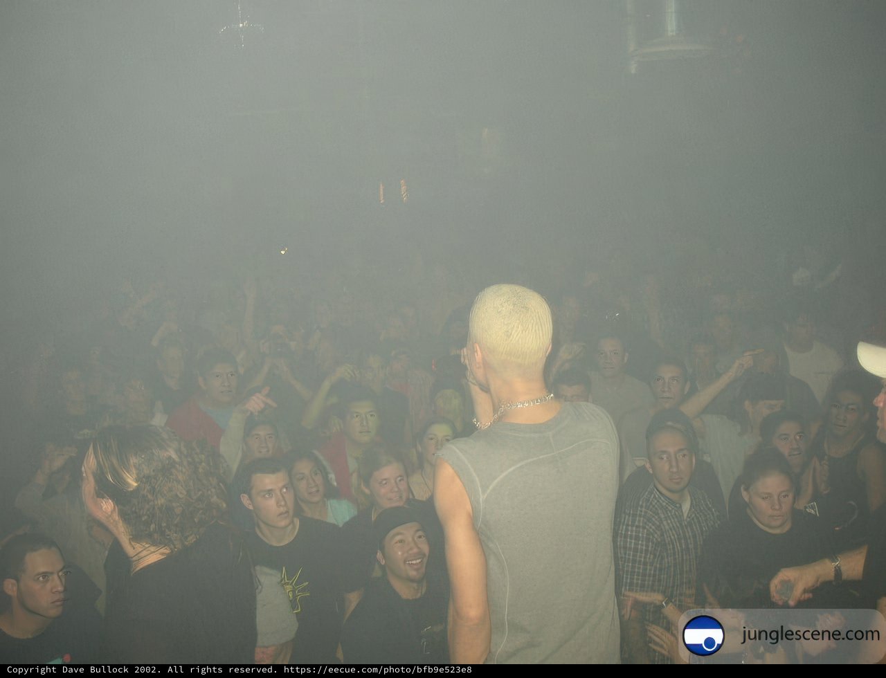 Foggy Nightclub Concert
